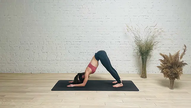 Dolphin Pose for Flexibility and Strength In Yoga